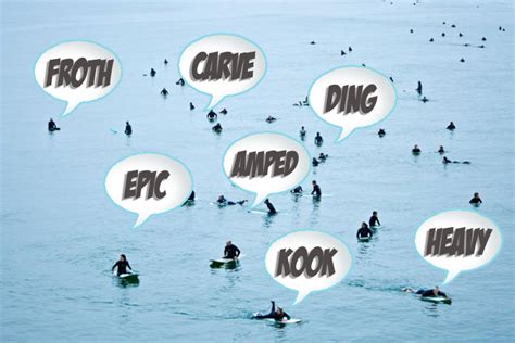 other words for surf.